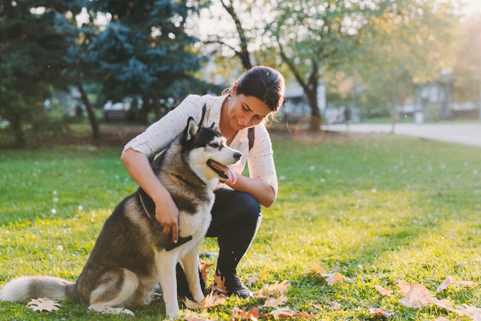 Find One That's Comfortable for You and Your Pup