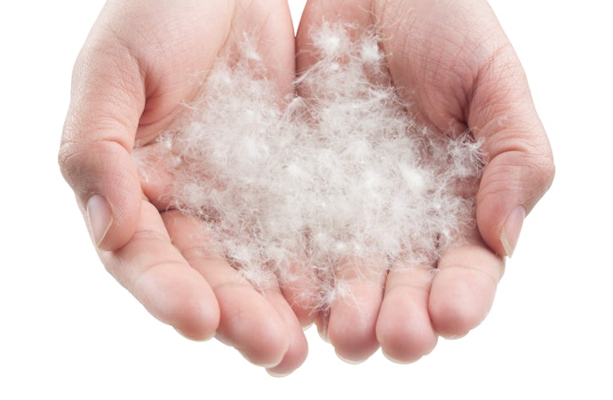 Find Higher Fill Power Down for Better Fluff