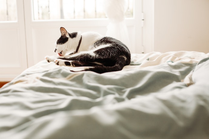 Go for Sheets Made of Supima or Egyptian Cotton