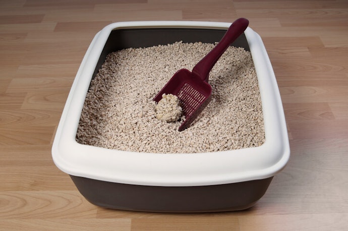 Make Sure the Litter Clumps so You Can Clean Easily and Frequently