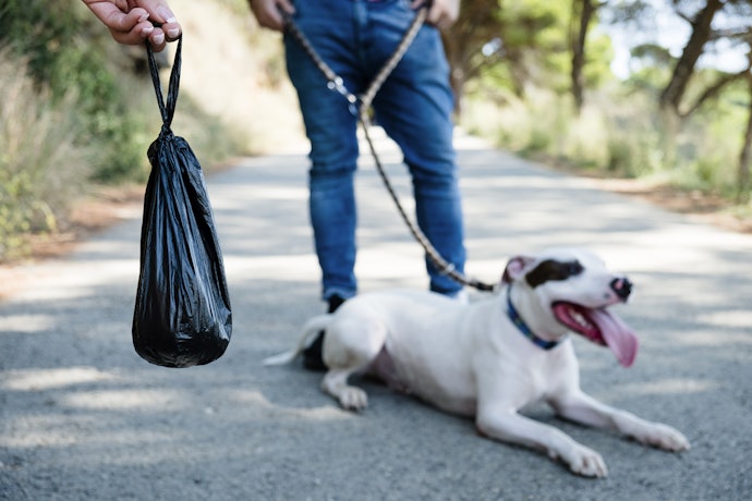 Make Sure Your Bags are Leak-Proof