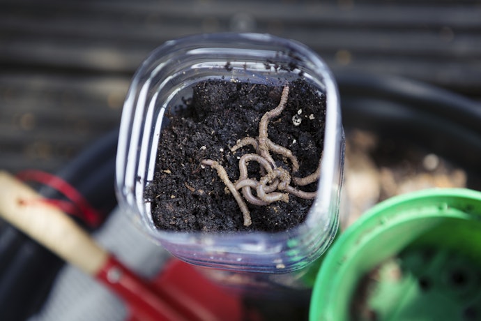 Consider a Living Composter