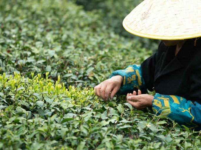 Consider Brands Committed to Sustainability