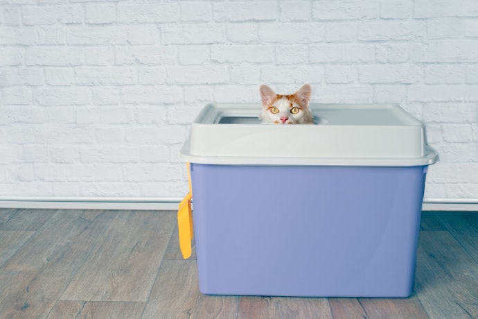 Look for a Box with Wiggle Room