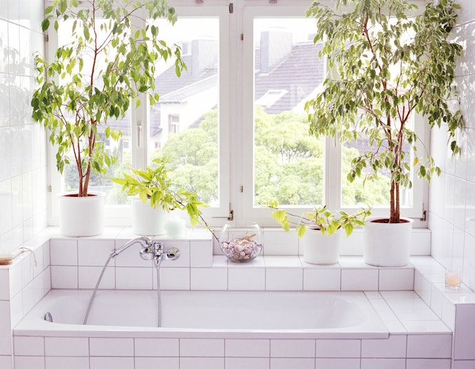 Take Note of the Amount of Natural Light in Your Bathroom
