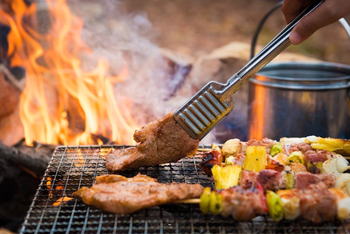 Get a Pit With a Grill If You Want to Cook