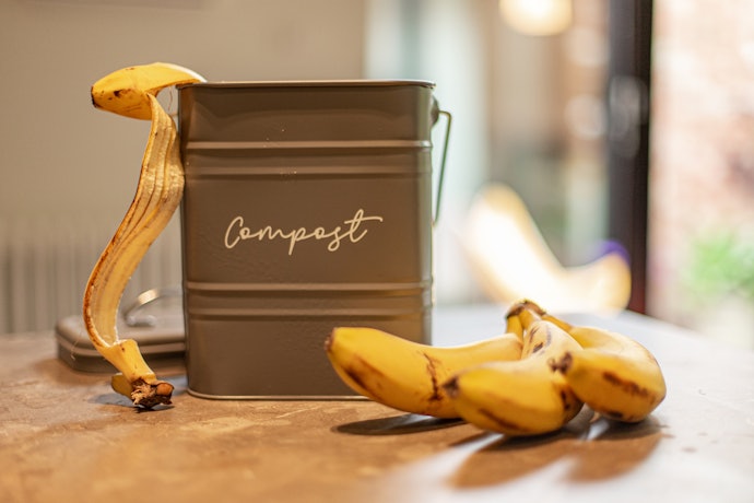Go for a Waste Collector as a Start