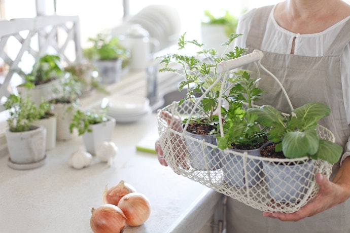 Find an Indoor Garden Design You Like