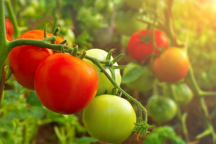 Opt for Products with Natural, Simple Ingredients
