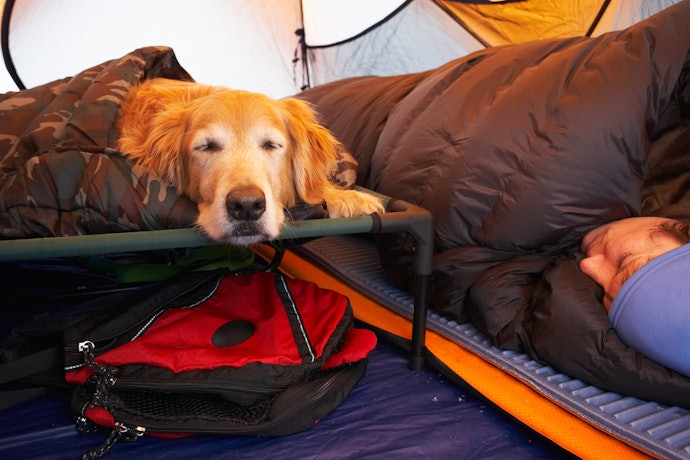 Go With a Bed Material That Suits the Weather