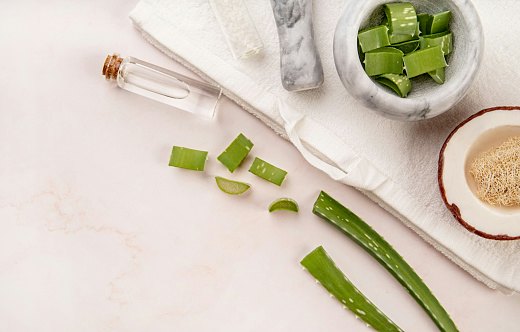 Look for a Nourishing Formula