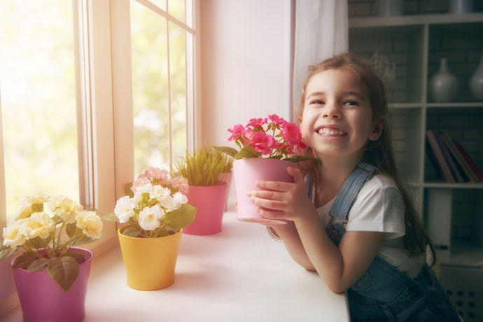 Look for a Plant That Fits Your Space