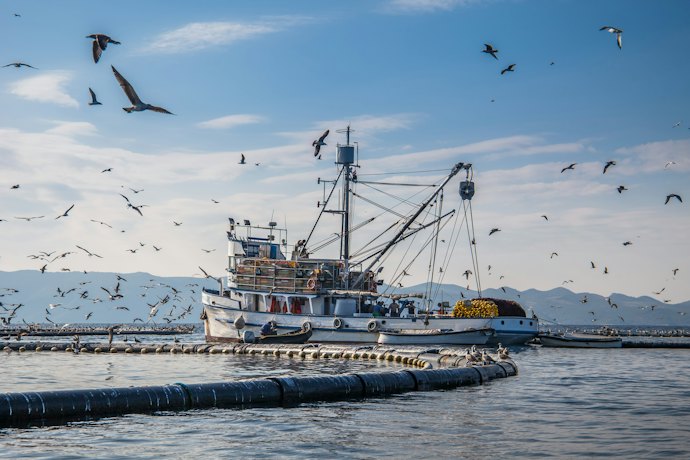 Consider a Sustainable Catching Method