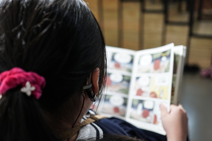 Consider Graphic Novels for a Visual Treat