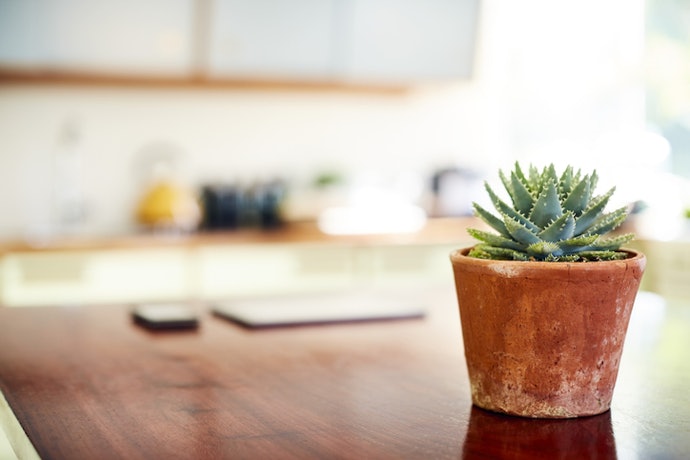 Clay is Classic and Good for Plants That Prefer Drier Conditions