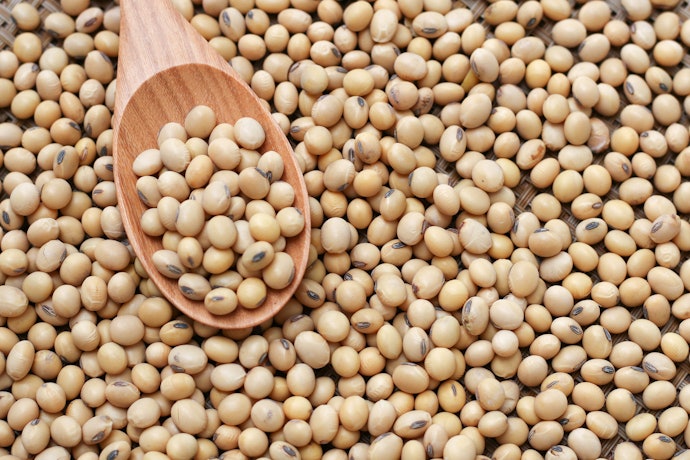 Soy is a Complete Protein and Has a Neutral Flavor