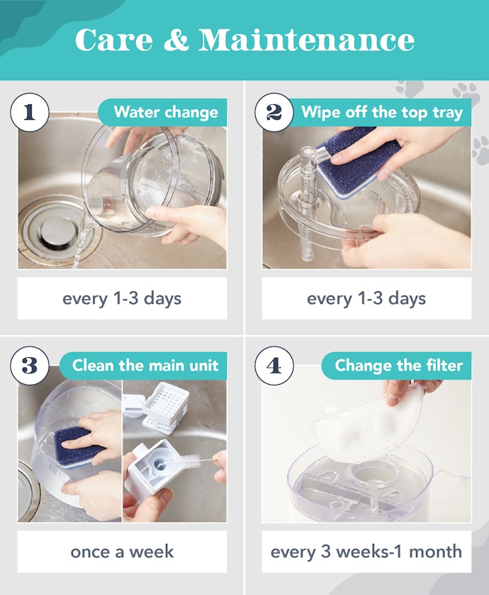 Most Water Fountains Are Hard to Clean, so Choose One With Easier Maintenance
