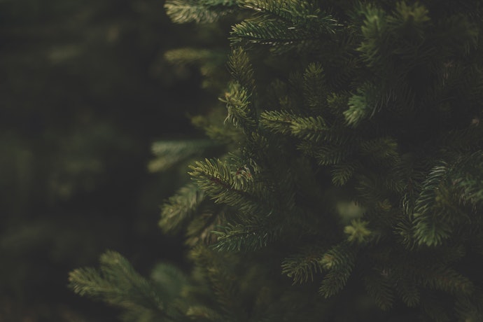 Earthy Scents Are Cozy