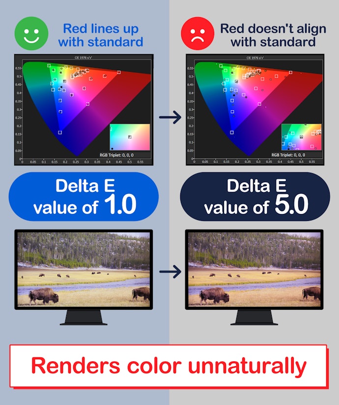 High Color Accuracy Will Ensure True Color Representation