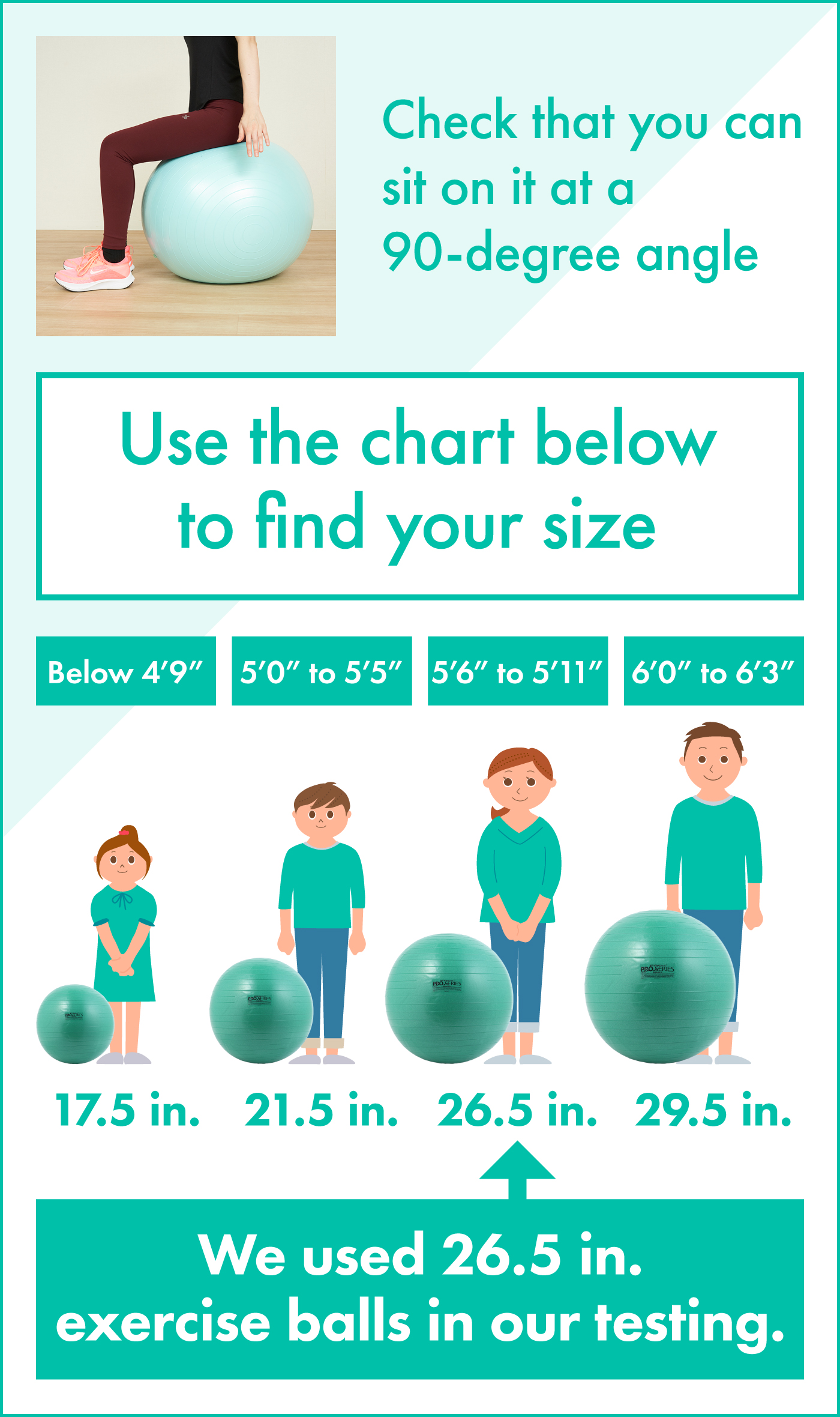 10 Best Exercise Balls [Tested and Reviewed] | mybest