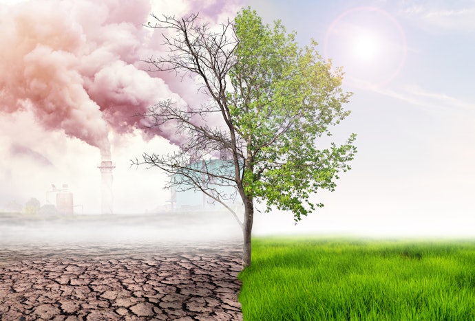 Read About Agriculture's Contribution to Greenhouse Gas Emissions