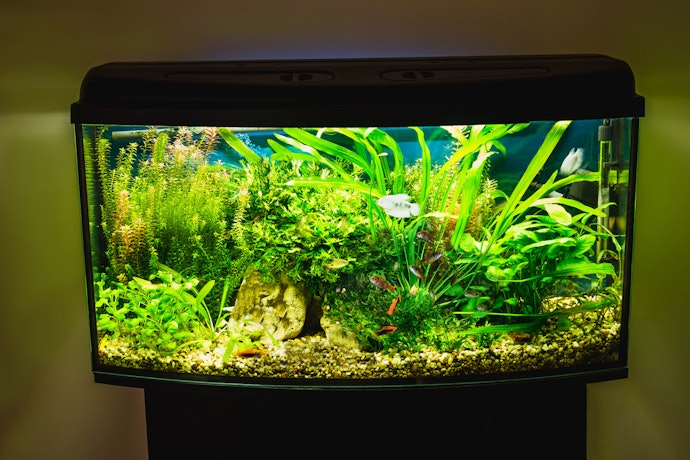 Freshwater is Easier for Most People