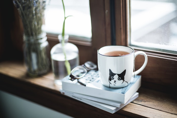 Gifts for Non-Cat Owners Can Just be Cat-Themed