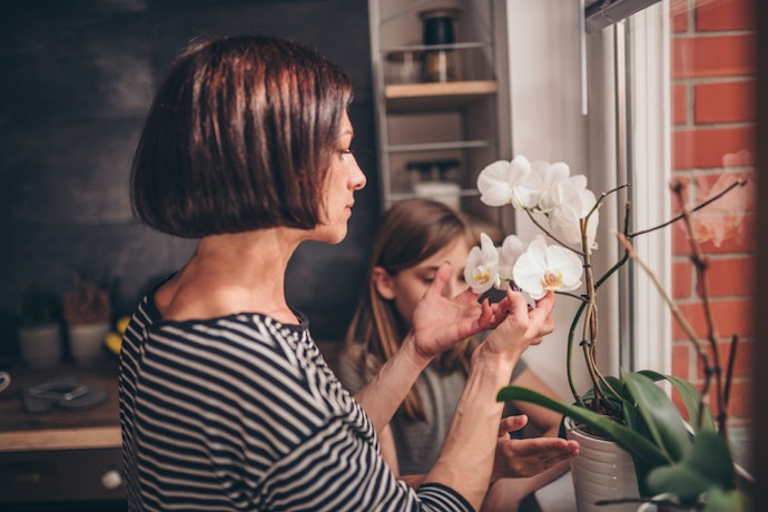 Keep Your Plant Happy With Steady Temperatures