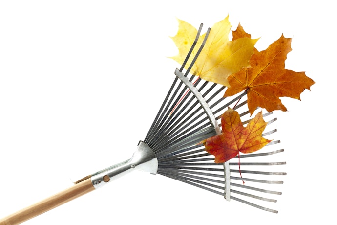 Consider a Leaf Rake for Quick Raking