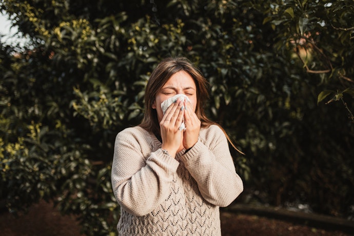 Alpaca Wool is a Great Alternative for People With Allergies