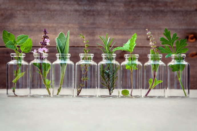 Look Towards Essential Oils for Disinfectant Properties