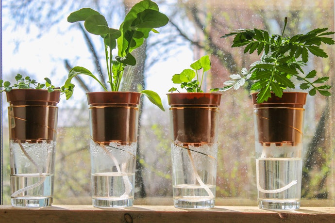 Rope Wicks for Single Pots
