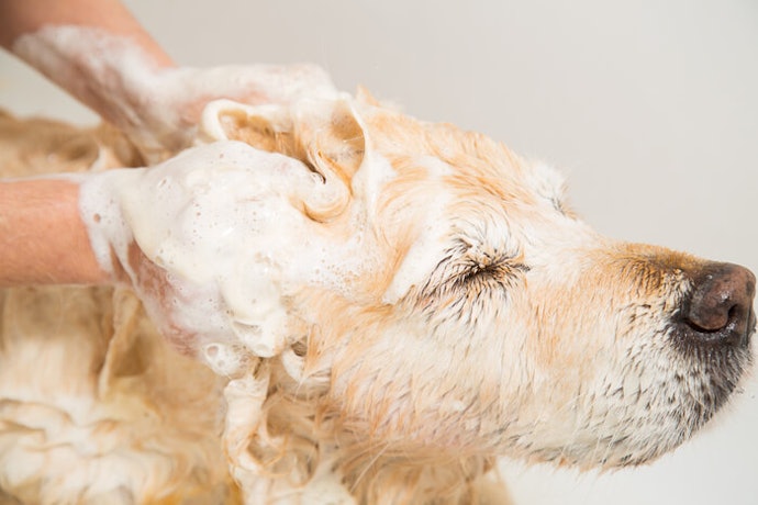 Antibacterial Shampoo Prevents Skin Diseases