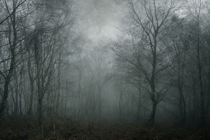 Brace Yourself for Dark Fantasy or Horror