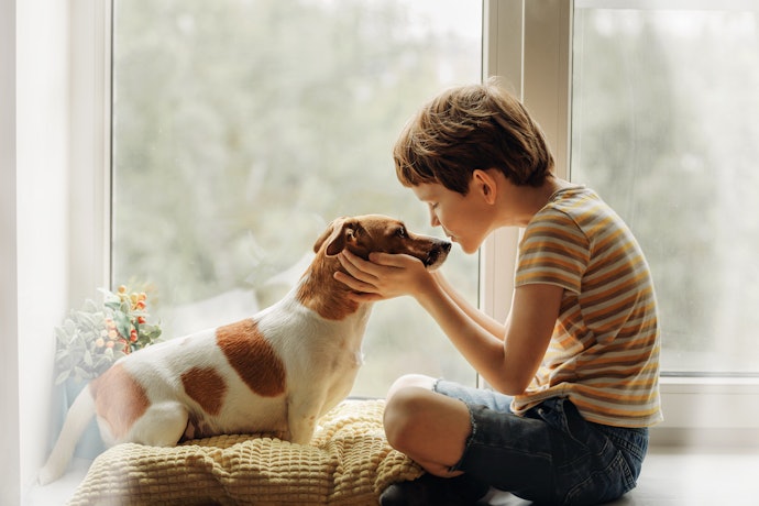 Dental Treats for Healthy Teeth and Gums