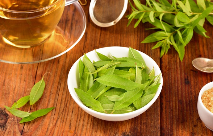 Lemon Verbena to Help You Sleep