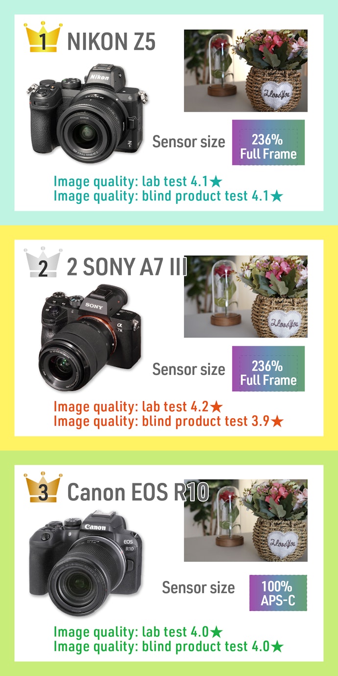 Go With Full-Frame if You’re Focused on Details, APS-C if You’re Focused on Price