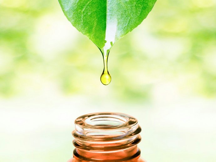 Raw-Pressed Oils Taste Fresh