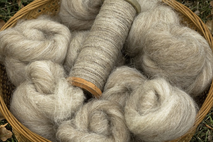 Choose from the Two Main Wool Styles: Roving and Batting