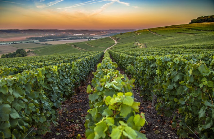 Consider the Winery Locations They Source From
