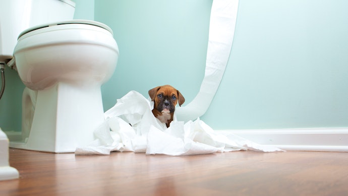 Single-Ply for Saving Money