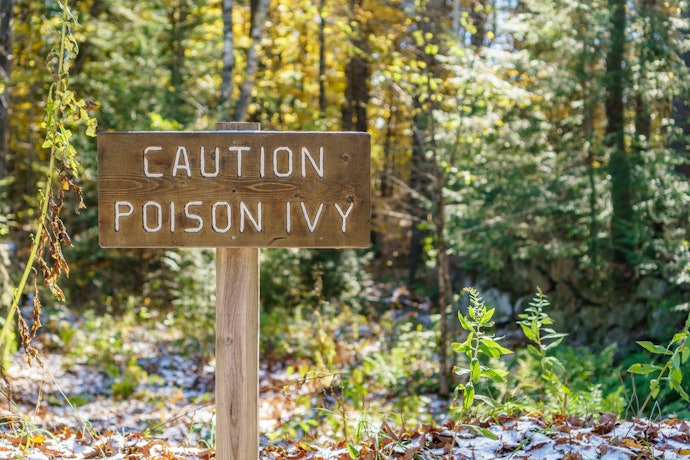 Protect From Weather, Bugs, and Animals When Outdoors