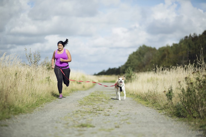 Hands-Free Leashes Are Convenient and Great for Long Runs