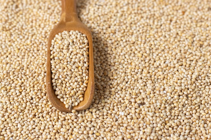 Millet Seed Extract for Possible Hair Growth