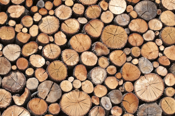 Pulp from Hardwood and Softwood: Soft on Skin, Durable