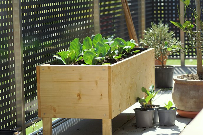 Raised Planters Are Easy to Drain