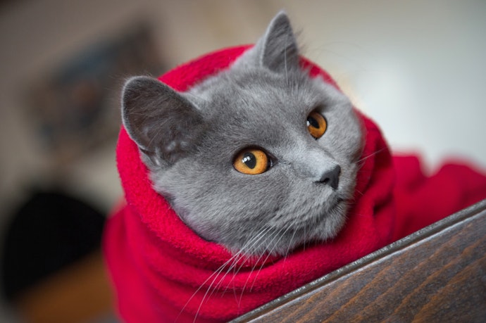 Fleece Traps Heat Around Your Body
