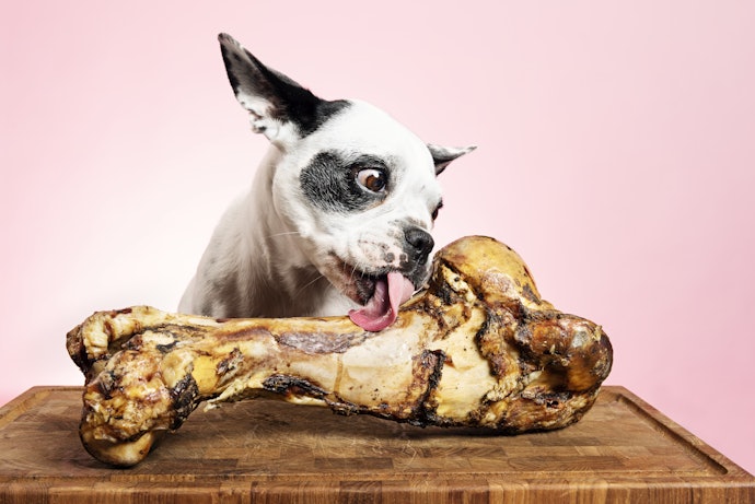 Chicken and Pork Bones for More Fat
