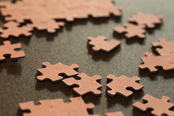 Jigsaw or 2D Puzzles