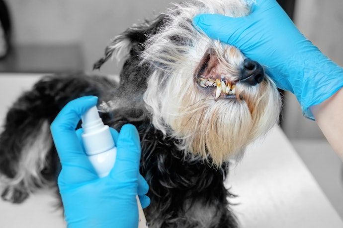 Dental Sprays Improve Bad Breath